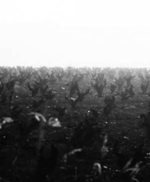 imagen ultima noticia vivir