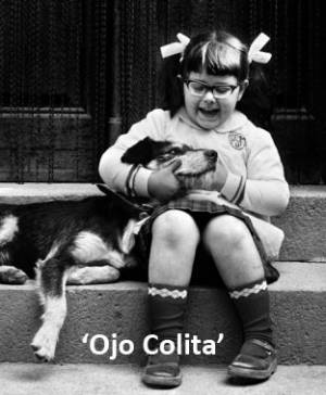 imagen ultima noticia cultura