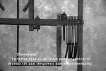 noticia de cultura 901 
