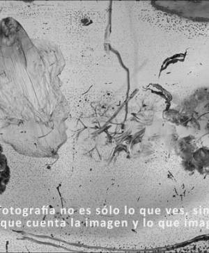 imagen ultima noticia cultura