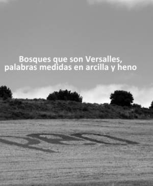 imagen ultima noticia cultura