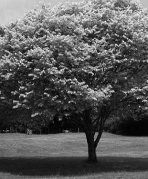 imagen ultima noticia vivir