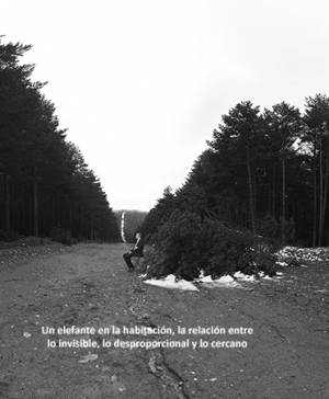 imagen ultima noticia cultura