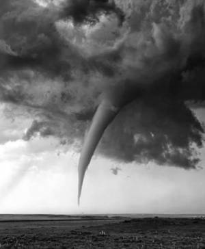 imagen ultima noticia vivir