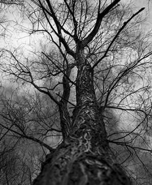 imagen ultima noticia vivir