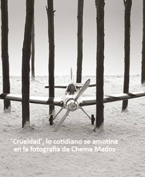 imagen ultima noticia cultura