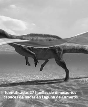 imagen ultima noticia vivir