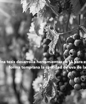 imagen ultima noticia vivir