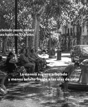 imagen ultima noticia vivir