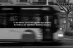 imagen tema de la semana